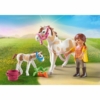 Playmobil 71243: Ló és kiscsikó