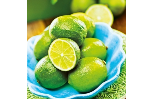 Lime Punch (1000)